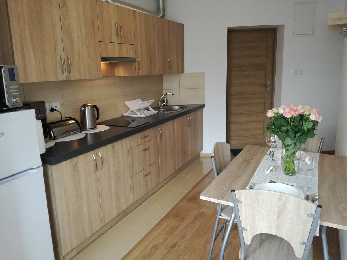 Apartamenty Interdom Ζακοπάνε Εξωτερικό φωτογραφία